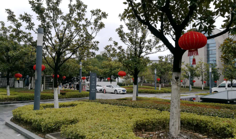 掛燈籠，貼春聯(lián)  蘇化科技園內年味濃